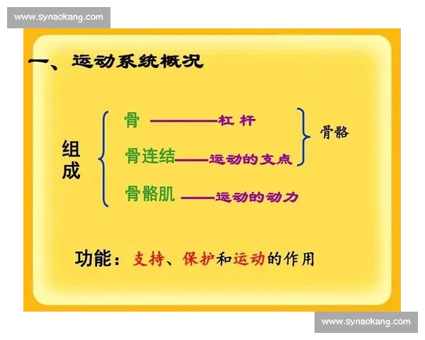 全面提升运动表现的科学方法与系统化体育训练策略探索
