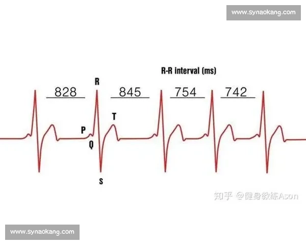 体育科学理论指导下运动训练优化与运动表现提升研究探索
